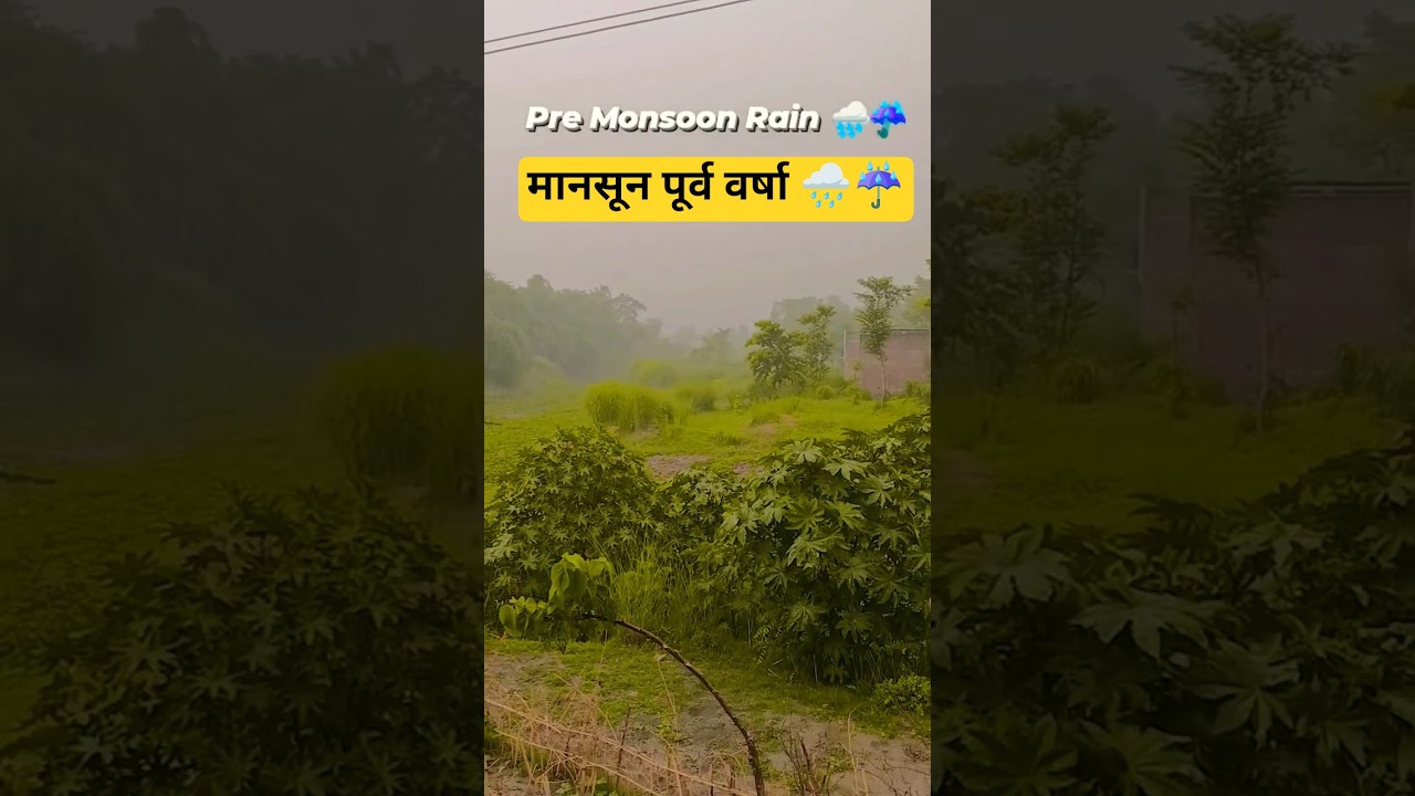 Pre Monsoon Rain 🌧️☔ Darbhanga Bihar #Rain #monsoon #premonsoon #Bihar #Weather #Nature #Environment