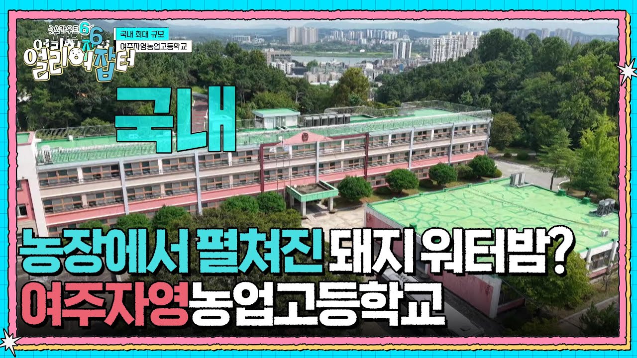 농장에서 펼쳐진 돼지 워터밤? 여주자영농업고등학교 [스카우트 6 얼리어잡터] | KBS 250926 방송