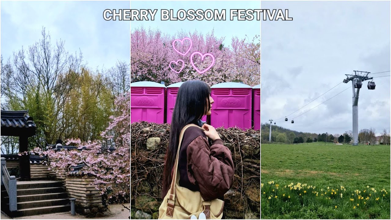 Daily Vlog : Cherry Blossom Festival 🌸