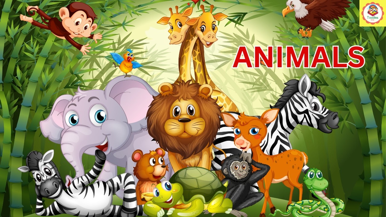 Animals name | Learn animals names for kids in English | names of Animals| @toodleskids |#animals