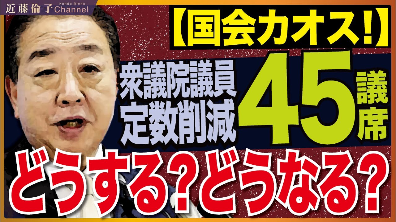 大変な事態になっています。※じっくり解説※　議員定数削減を巡って国会が大混乱・パニック！会期末までに決まるのか、延長するか。はたまた解散総選挙！？　近藤倫子チャンネル