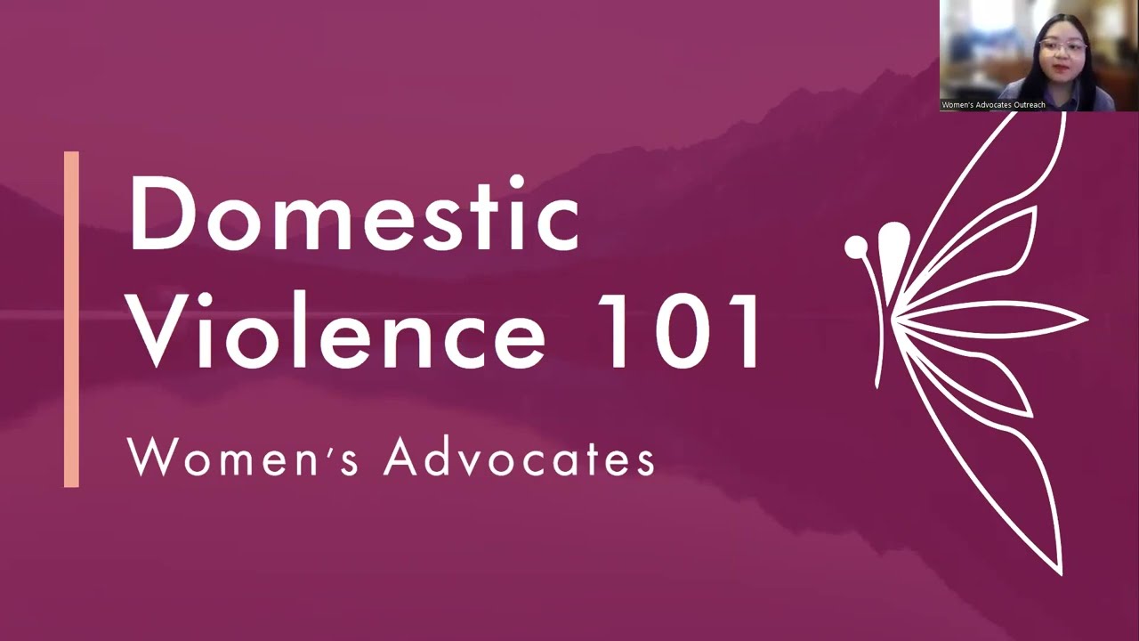 Domestic Violence 101