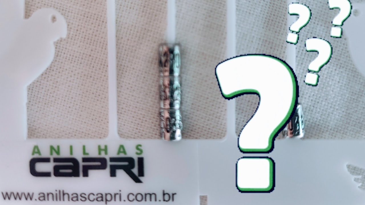 A ANILHA EM ESTOQUE ESTÁ  VINCULADA A QUAL FÊMEA???