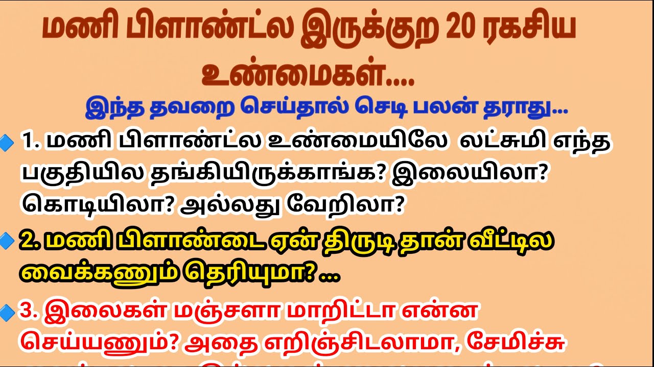 இந்த ஒரு பொருளை மணி பிளாண்டில் வைத்தால் லட்சுமி உங்கள் வீட்டிற்கு ஓடி வருவாள் #படித்ததில்பிடித்தது 