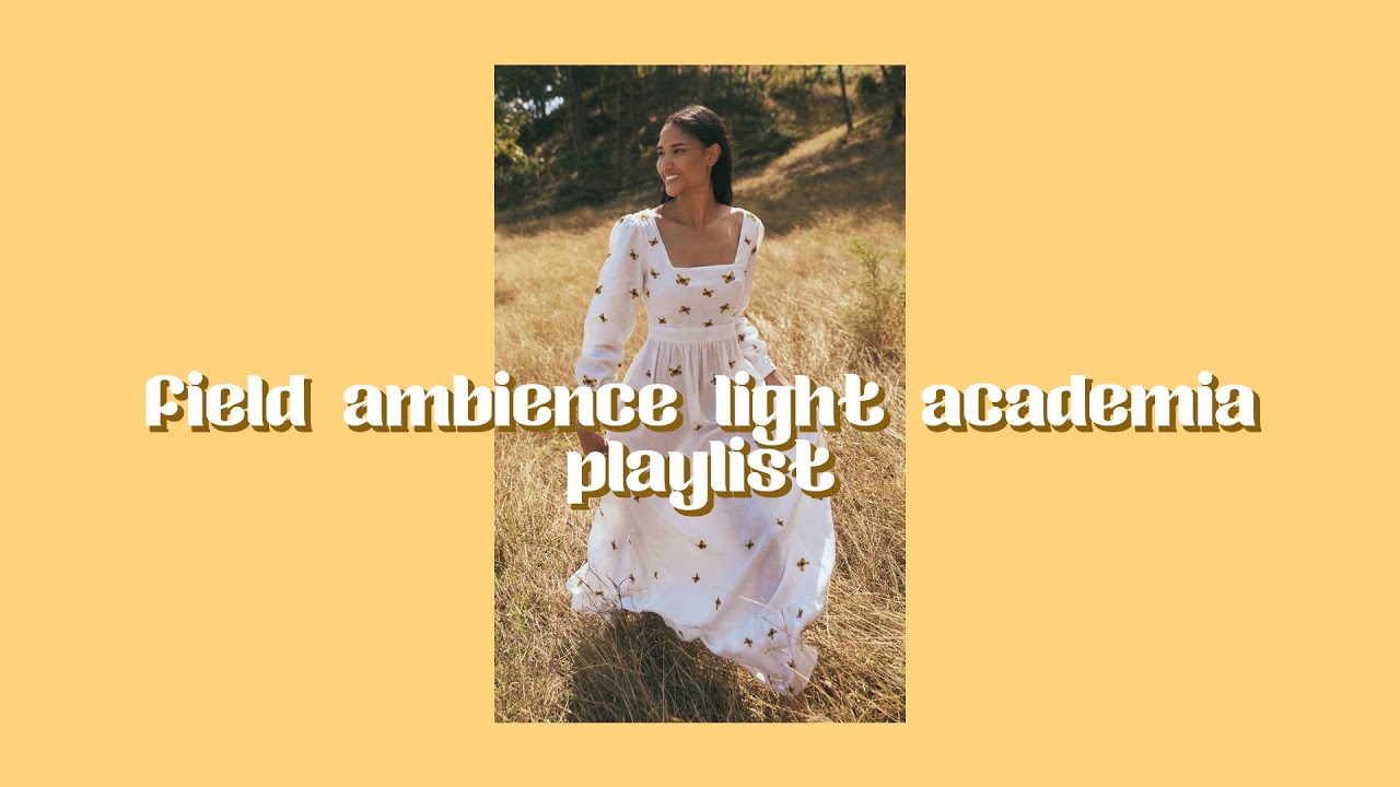 You are studying in a field light academia playlist (w/ visuals and field ambience) 🍃🍁🎵