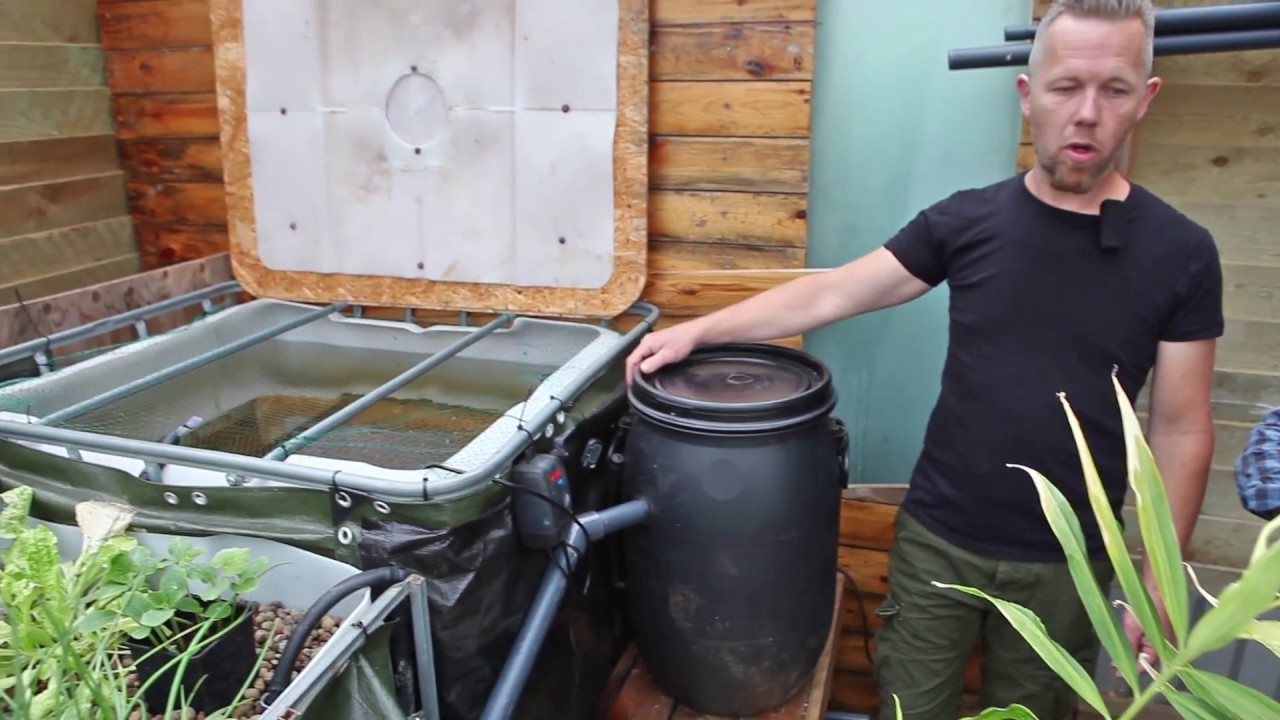 Hydroponics Dyrk uden jord
