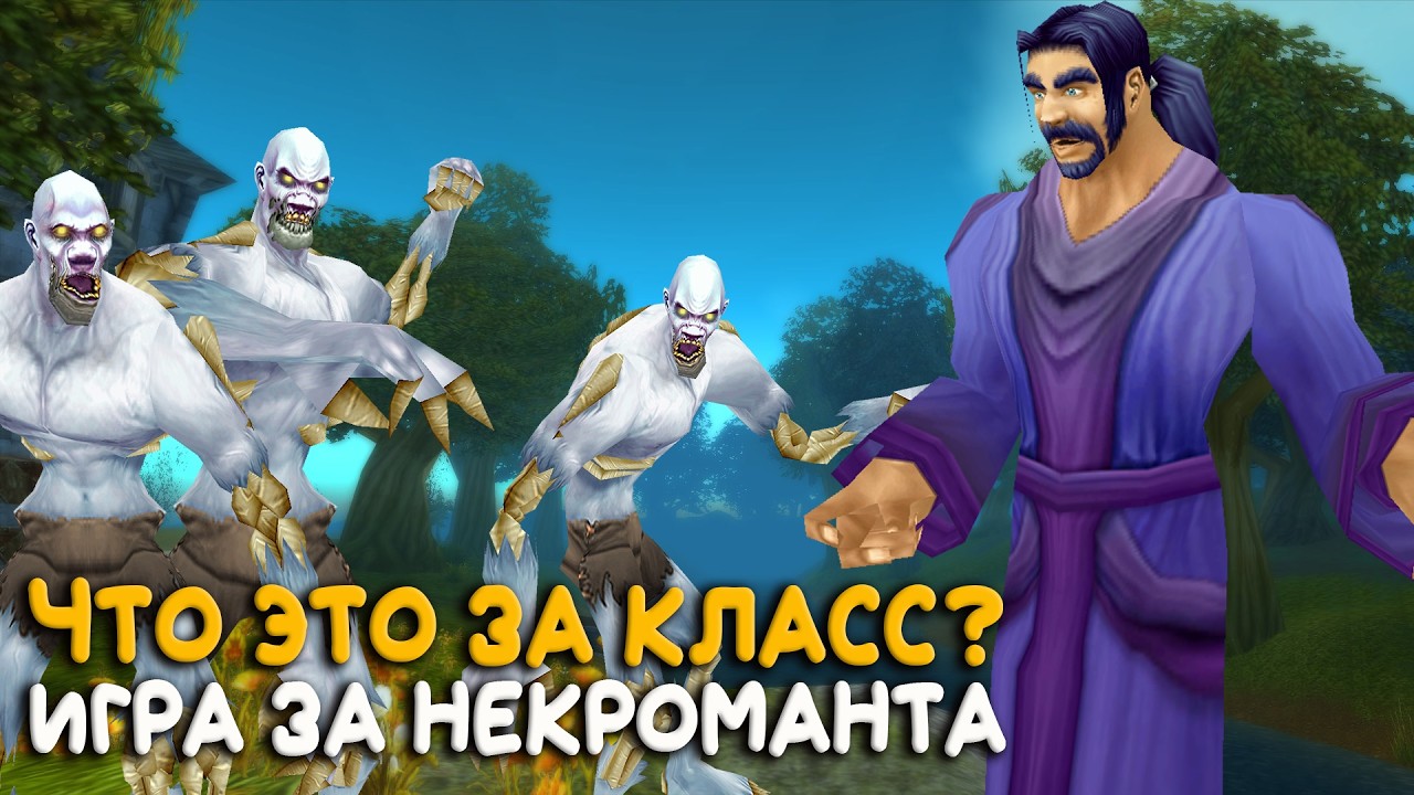 Ну этот класс наверное лучший! На новом сервере World of Warcraft с 21 классом