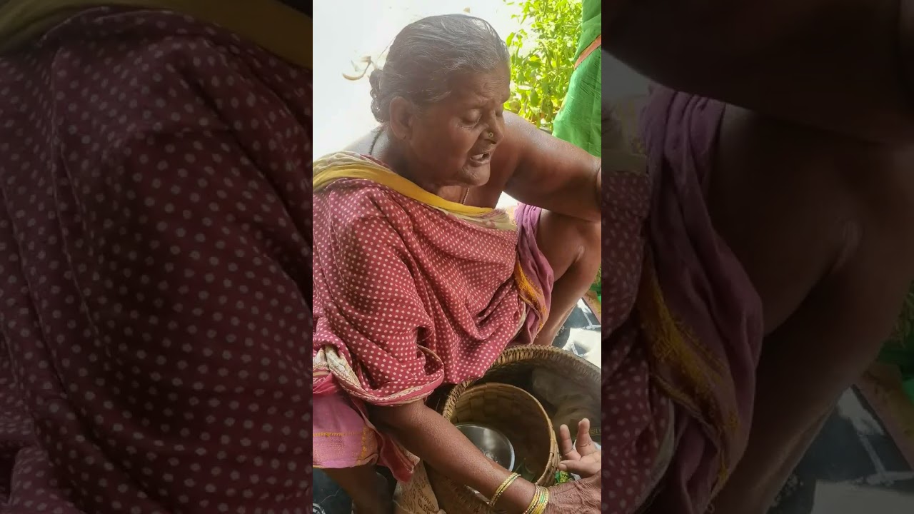మన పూర్వీకులు