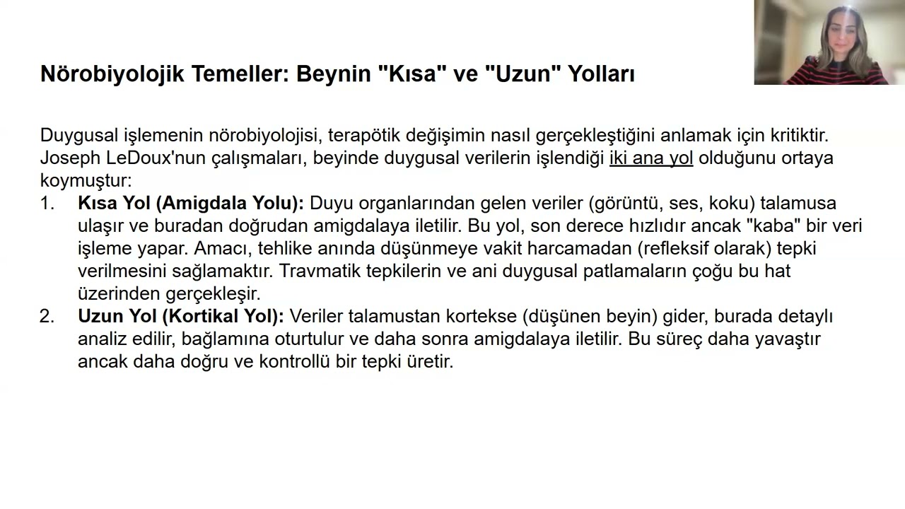 Duyguları Dönüştürmek - Candan Nimet Demirkan