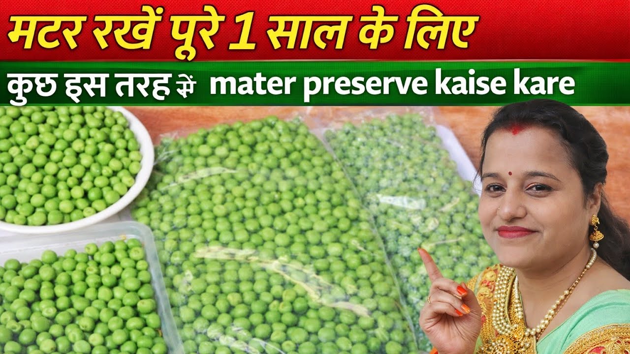 मटर को स्टोर करके रखें पूरे 1 साल के लिए कुछ इस तरह से mater preserve kaise kare. 