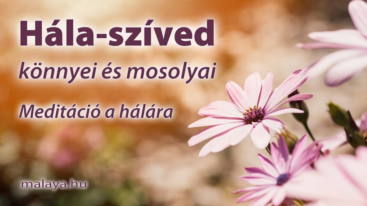 Hála szíved könnyei és mosolyai - Malaya vezetett meditáció a hálára - Sri Chinmoy tanítása alapján