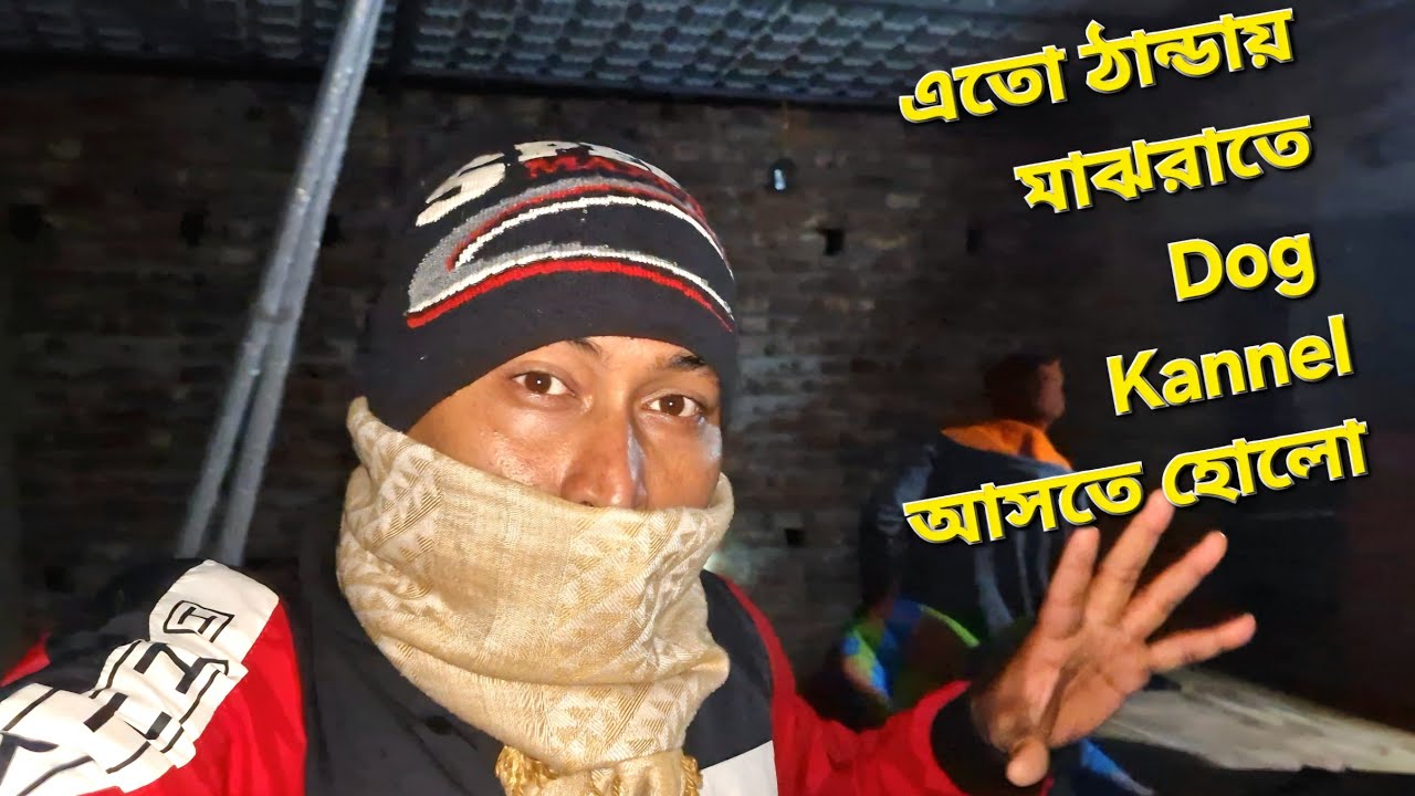 শীতের রাতে আমাদের কেনো Dog Kannel আসতে হোলো ? এখানে এতো ঠান্ডা যে আর থাকতে পারলাম না।