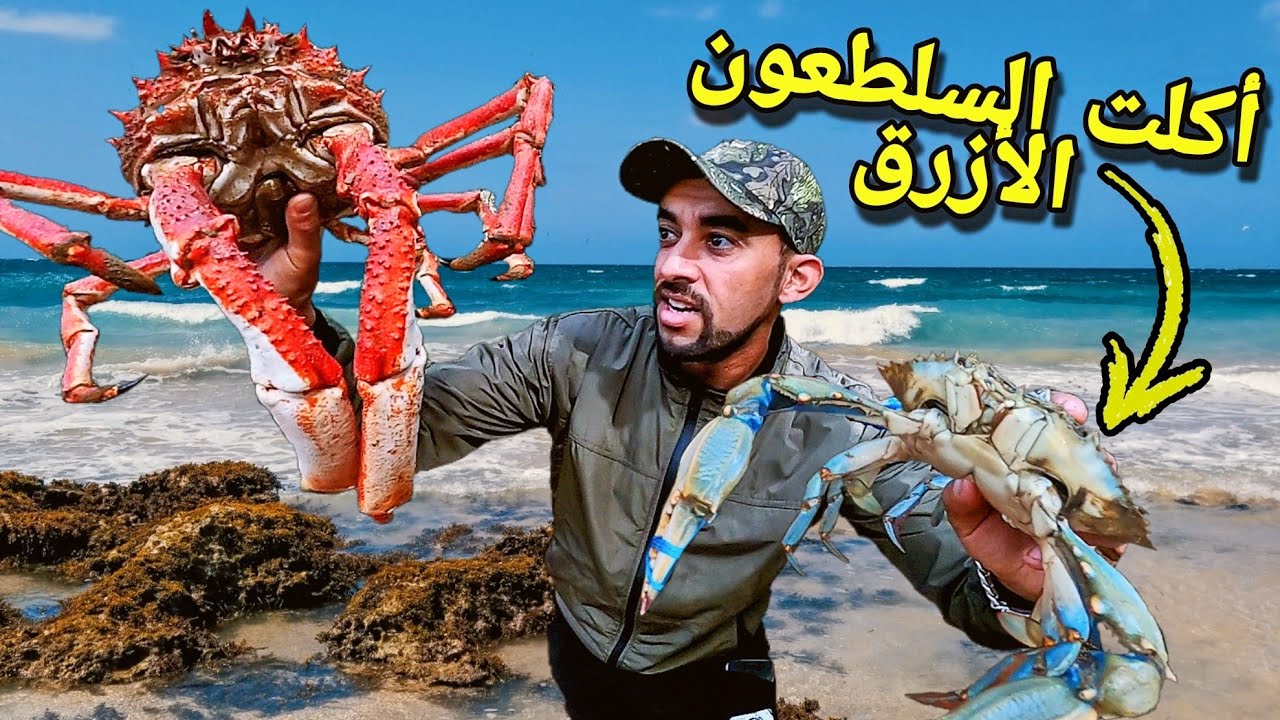 Впервые на YouTube: Голубой краб с морепродуктами – вкус шокировал! (Часть 1)