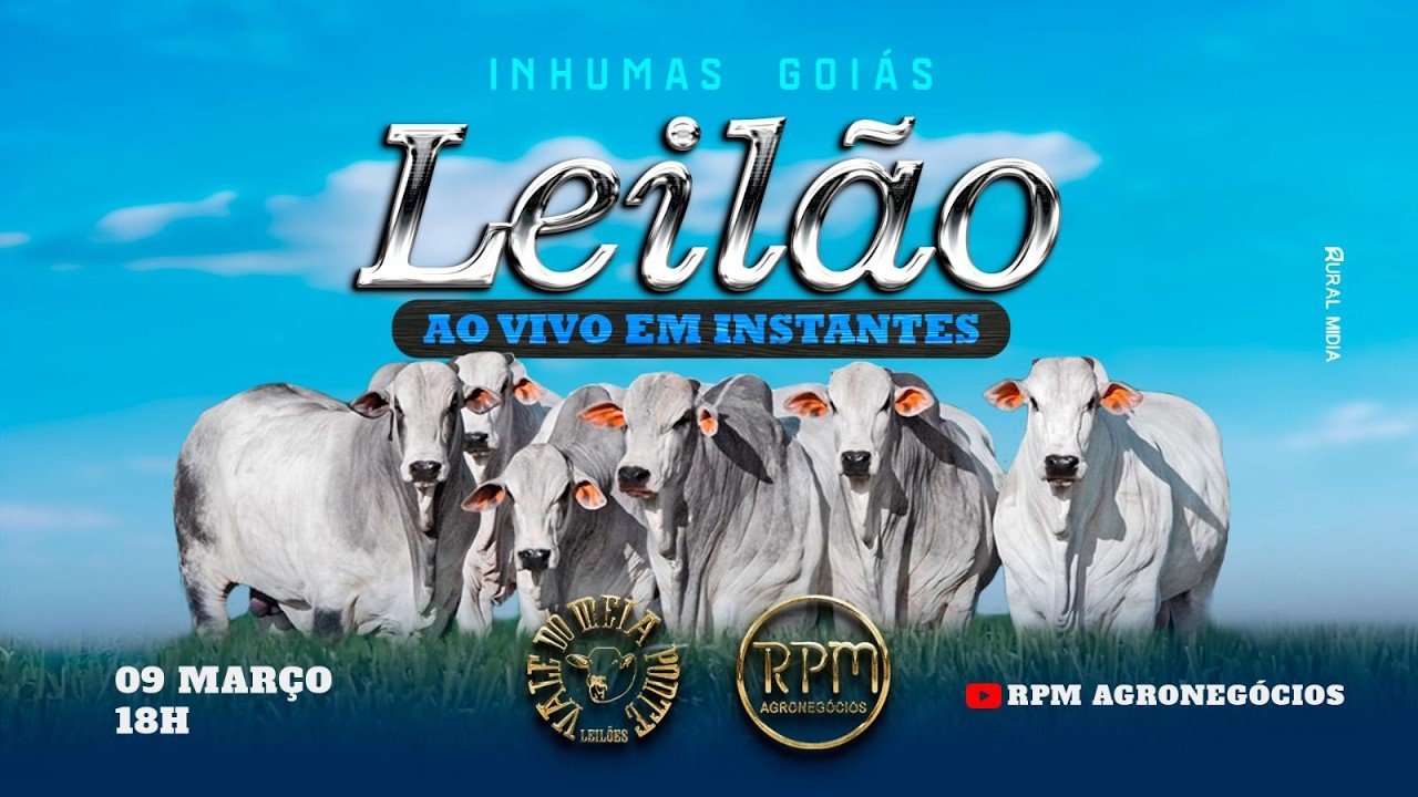 VALE DO MEIA PONTE LEILÕES - INHUMAS - LEILÃO VIRTUAL E PRESENCIAL - 09 DE MARÇO DE 2026.