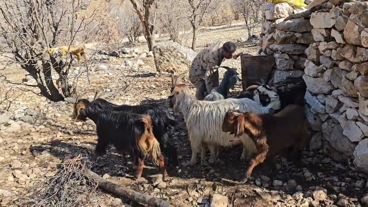 🔥 The incredible migration of a nomadic family | Real life from dark cave to stone house