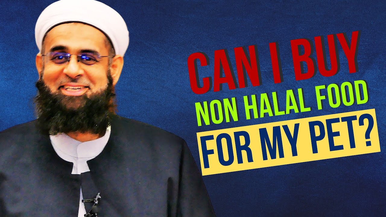 Can I buy Non Halal food for my Pet? | Dr. Mufti Abdur-Rahman ibn Yusuf Mangera