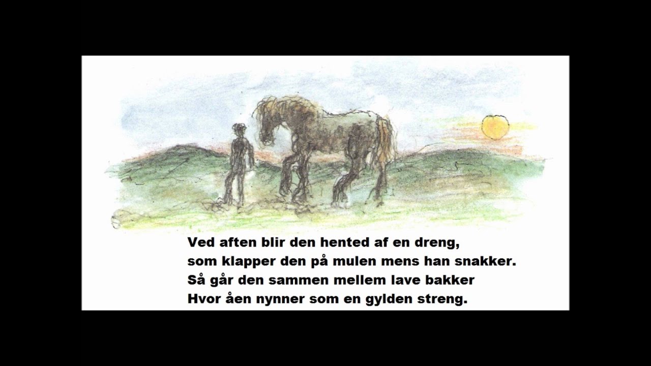 min lille hest.wmv