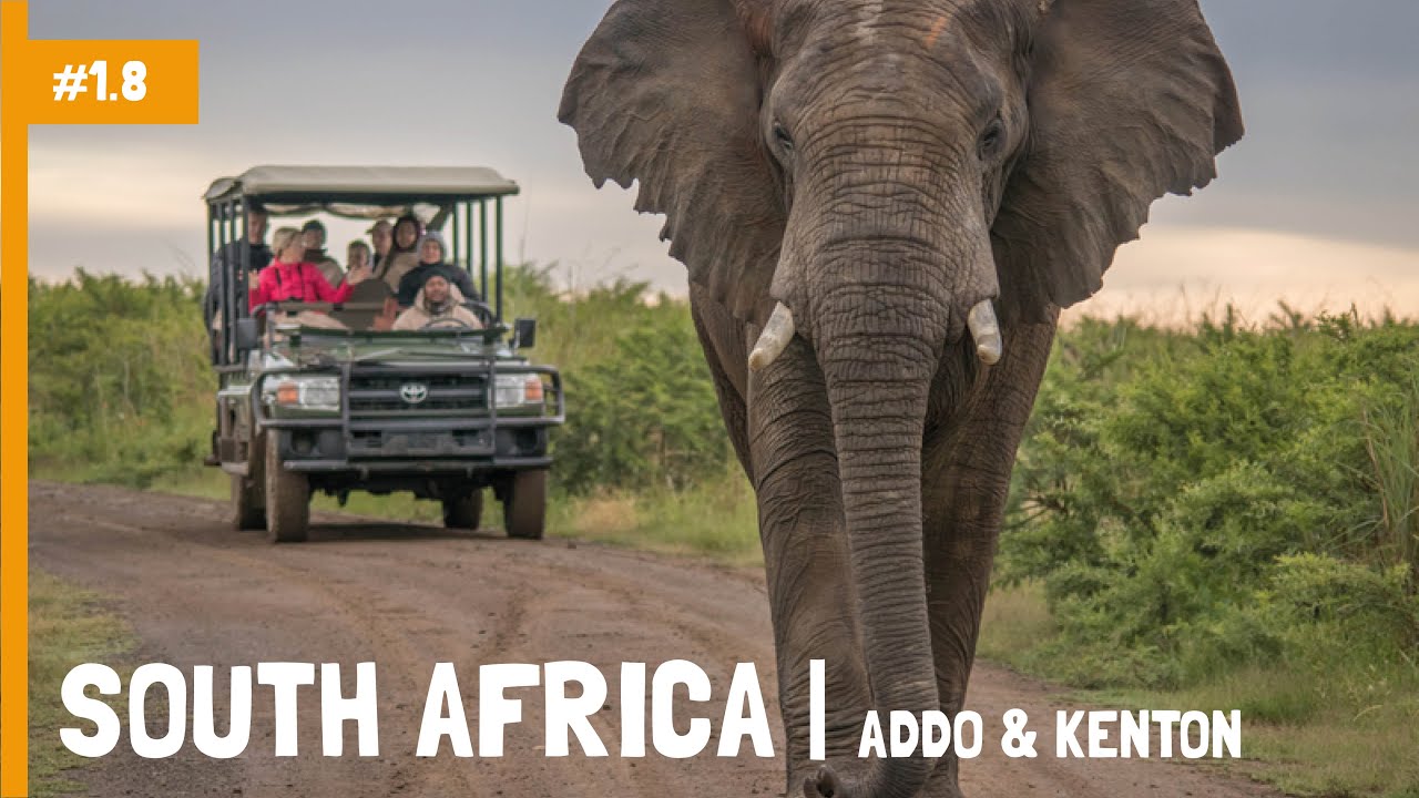 South Africa |  Addo Elephant Park & Kenton-on-Sea | Charlie's Travels