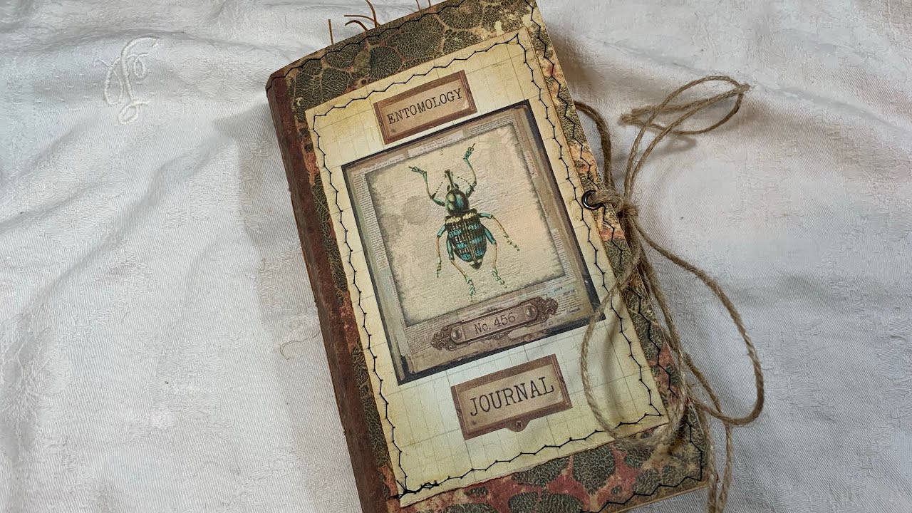 Nature Entomology vintage journal