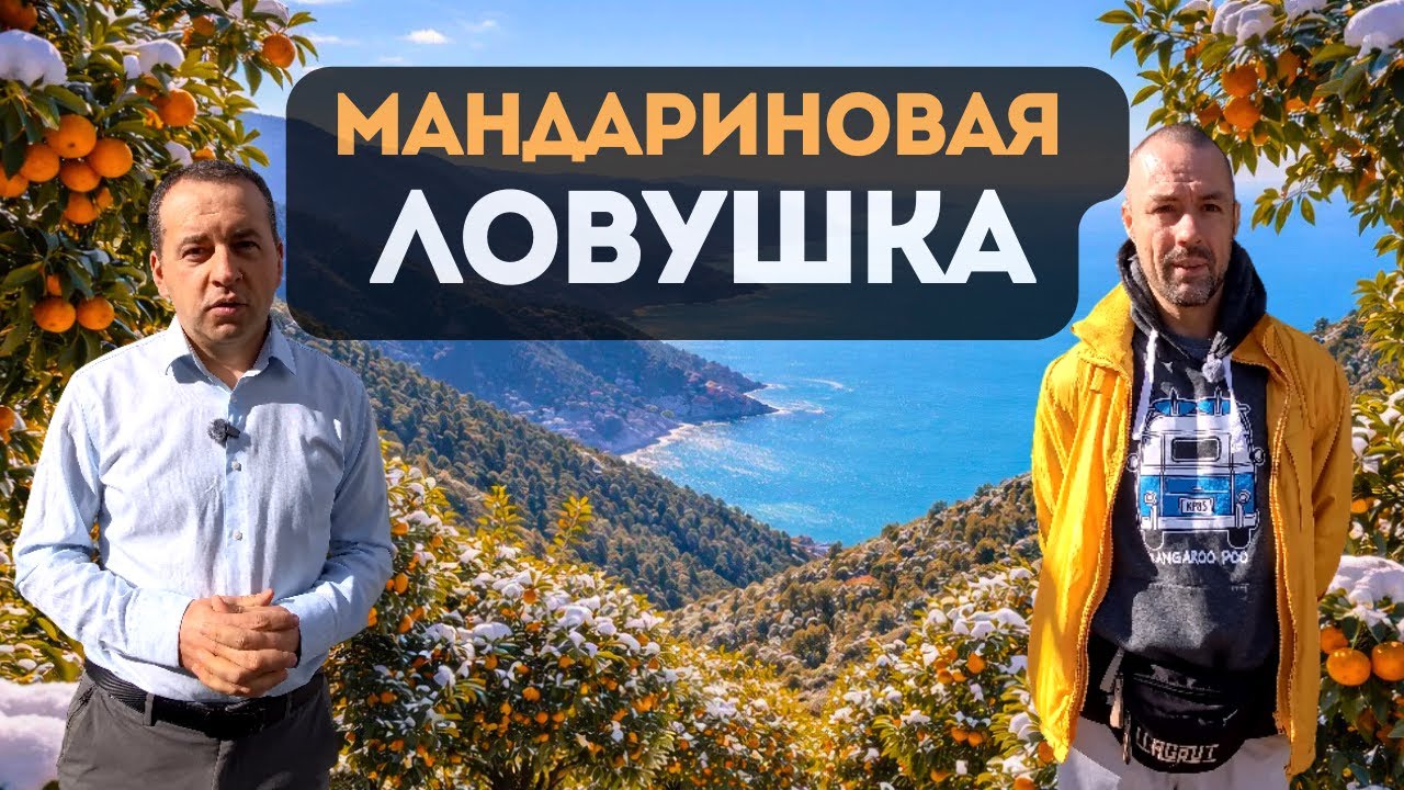 Строители против мошенников. Сладкие цены и кислые последствия. Реальная себестоимость строительства