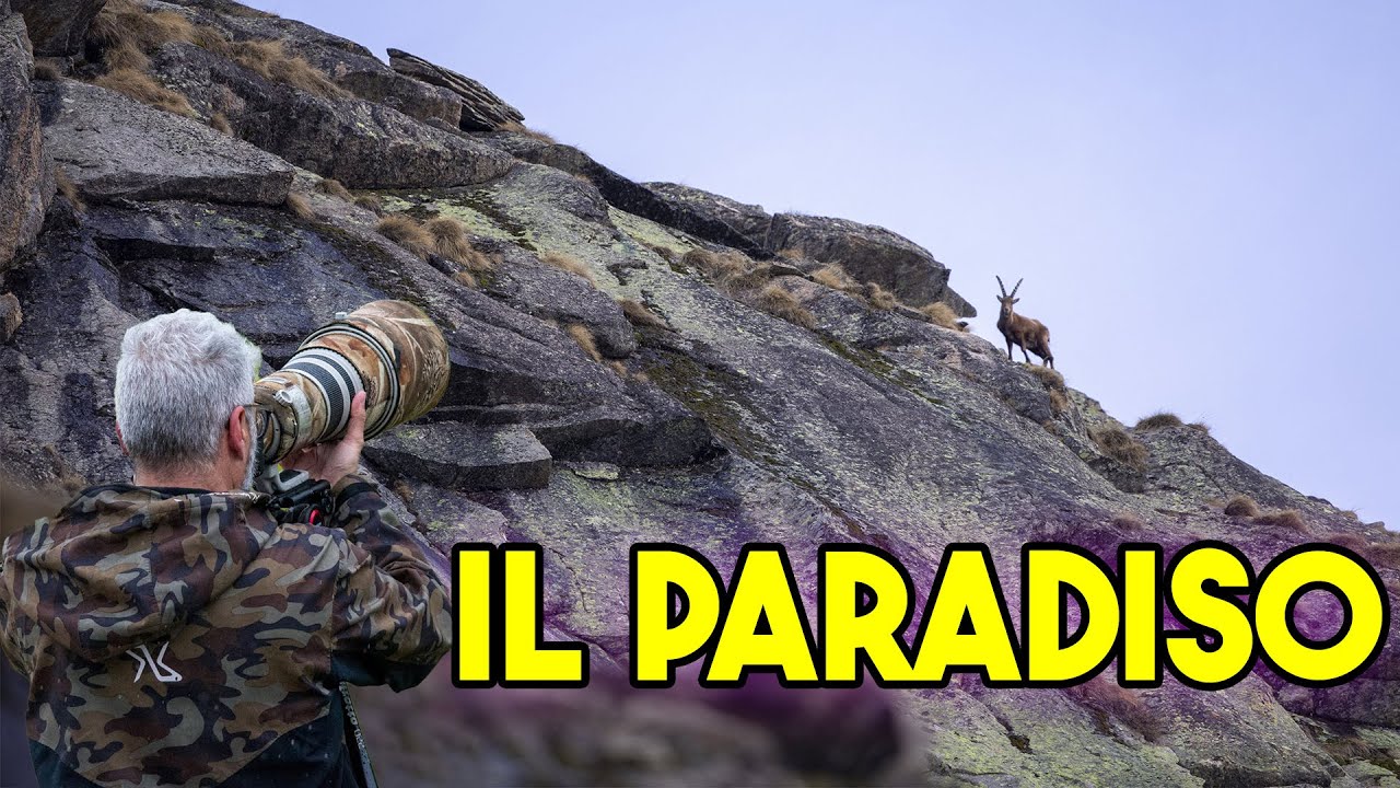 Fotografia naturalistica in PARADISO