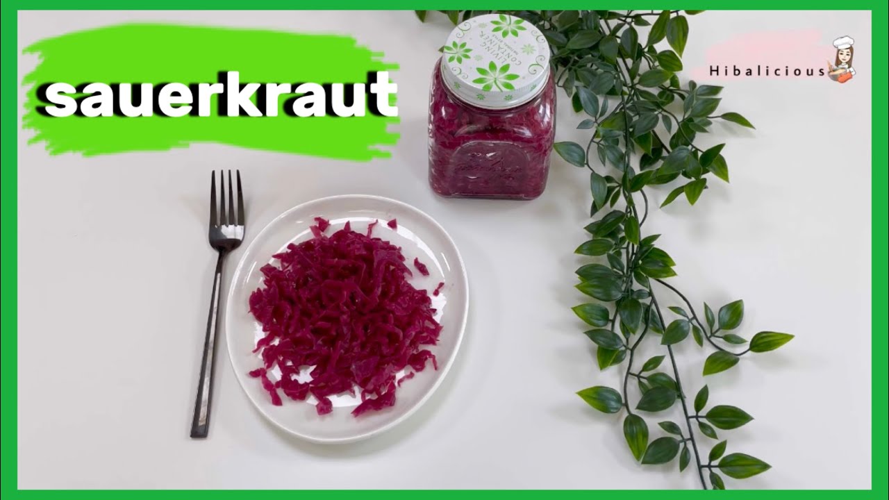 مخمر الملفوف ساور كراوت |sauerkraut