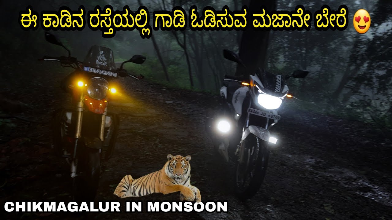Sakleshpura To Bhadra Tiger Reserve || via Muthodi Forest Range | Monsoon Ride 2023