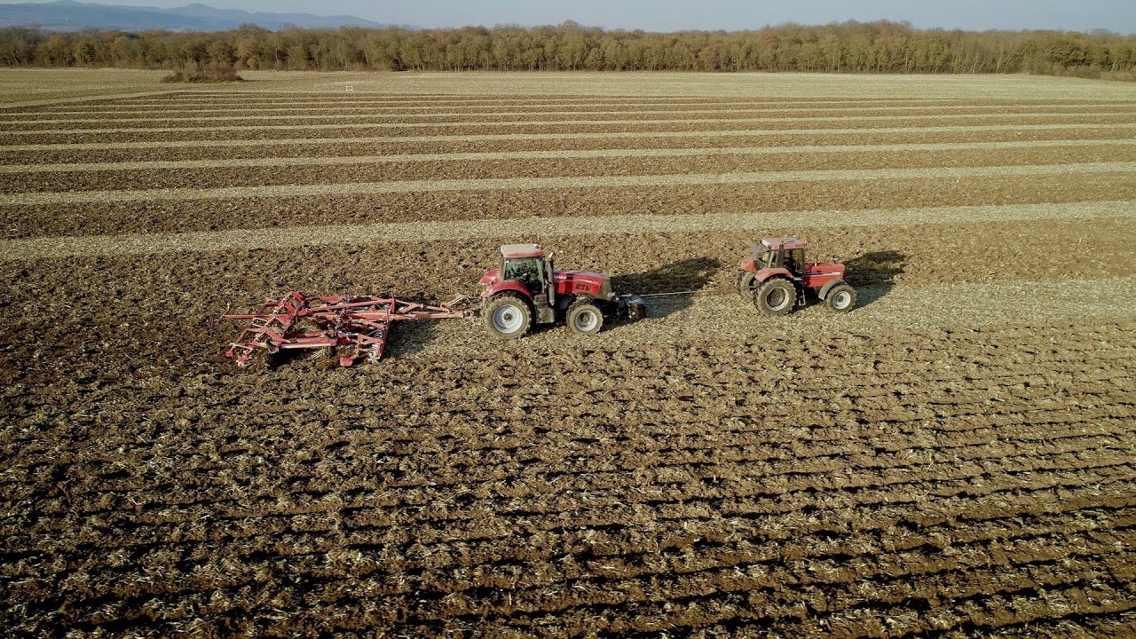 Déchaumage d'Hiver :  Case 1455 XL + Cases Magnum 310 & Horsch Terrano 6 MT !!