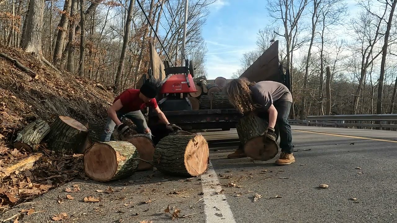 Roadside Logging Day 3: White and Red Oak Firewood