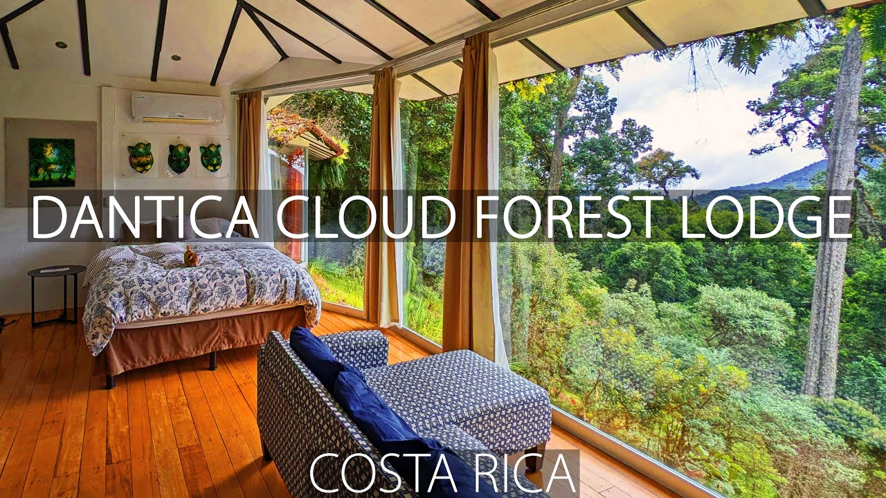 Dantica Cloud Forest Lodge, Costa Rica - in search of the sacred bird Quetzal