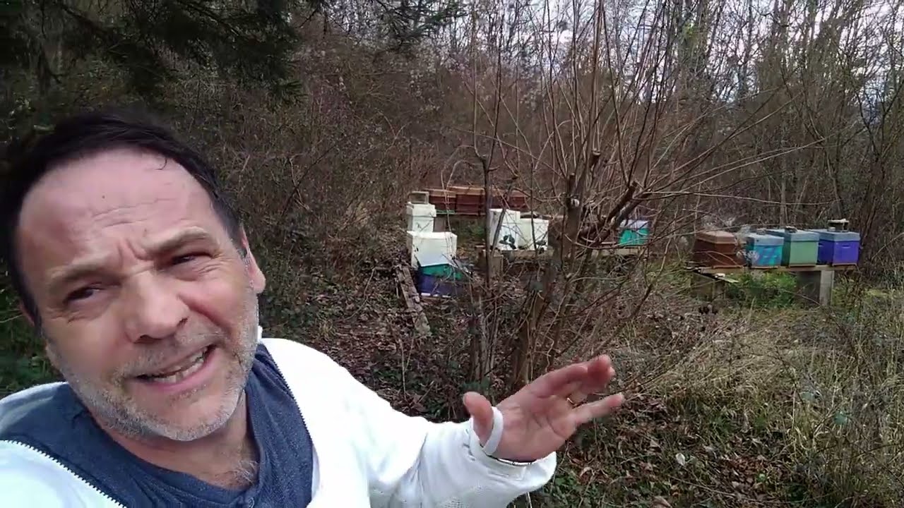 Nicolabeille 2024 E1: C'est reparti !