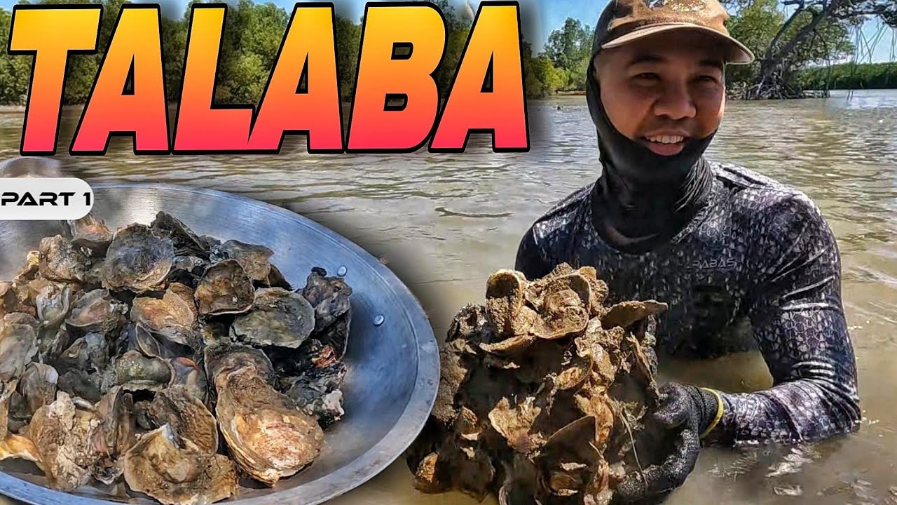 P1 - SIHI AT TALABA