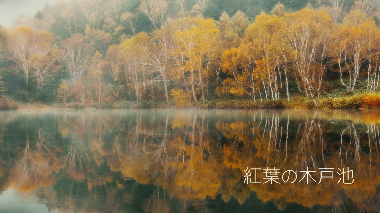 紅葉の木戸池