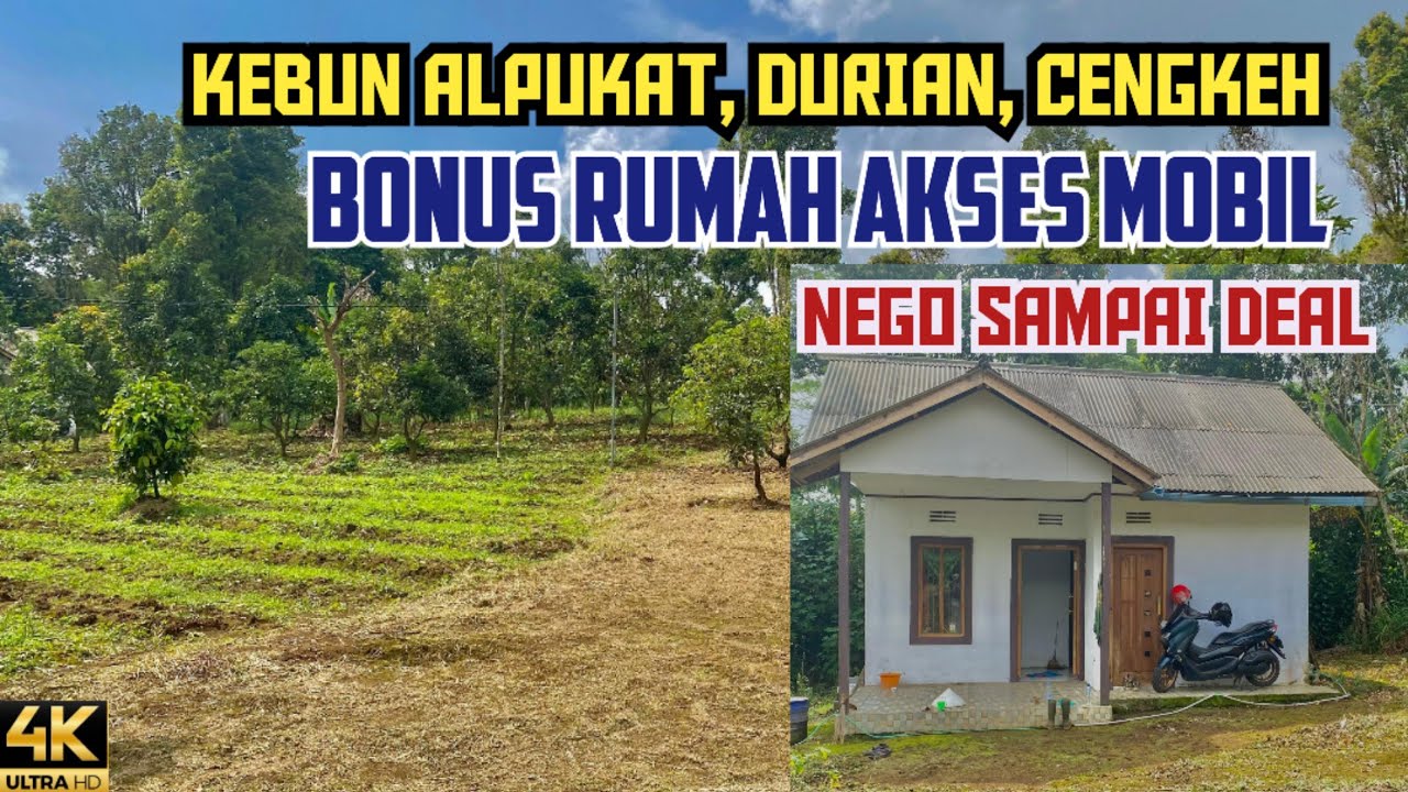 Dijual Tanah Kebun Durian dan Cengkeh Bonus Rumah Luas 9213 m2 SHM Akses Mobil Sampai Lokasi