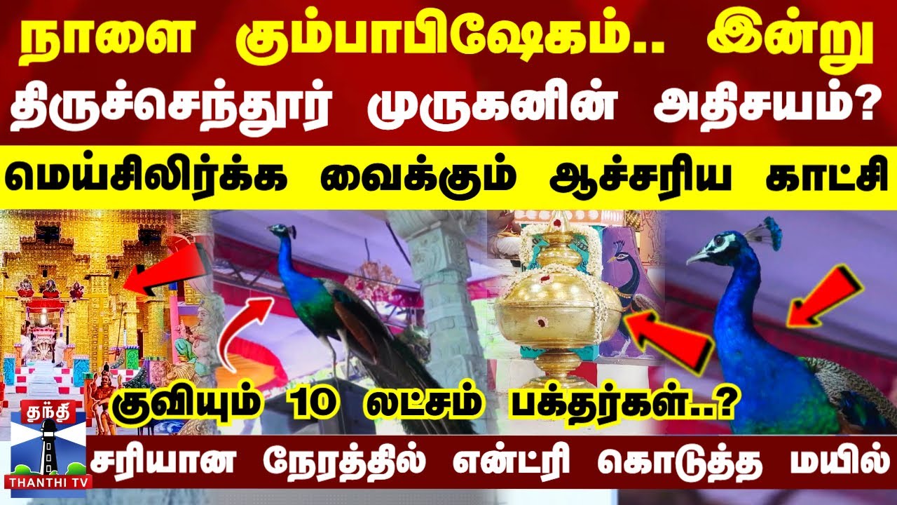 Thiruchendur Kumbabishekam | நாளை கும்பாபிஷேகம்.. இன்று திருச்செந்தூர் முருகனின் அதிசயம்?