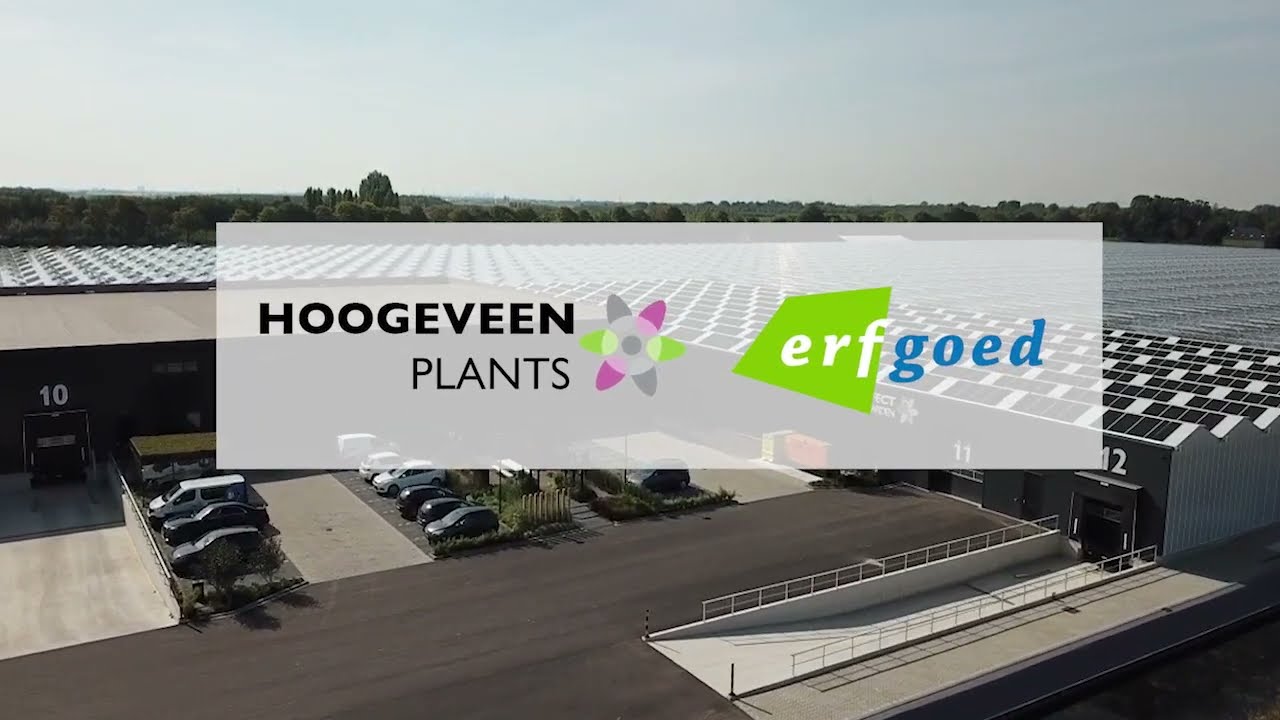 Samenwerking Hoogeveen Plants en ErfGoed over aanleg teeltsysteem, irrigatiesysteem en watertechniek