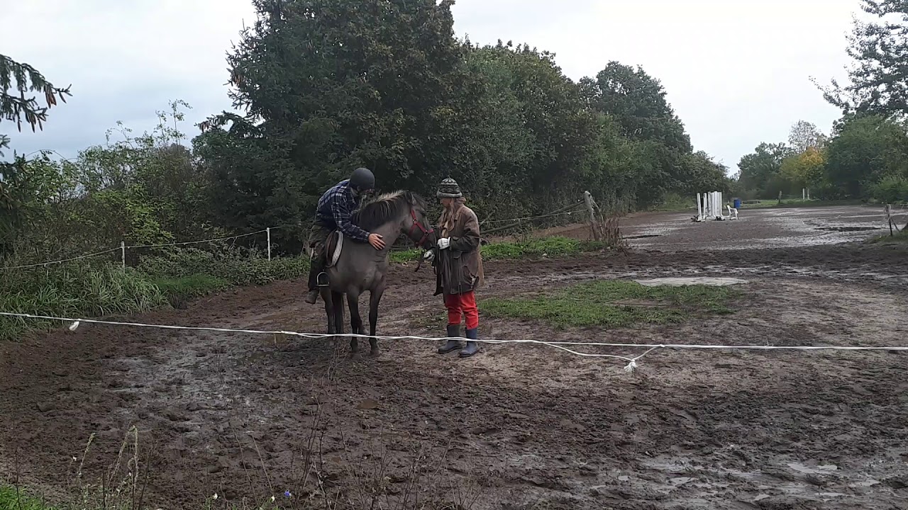 Dumka (konik polski) - pierwsze dosiadanie