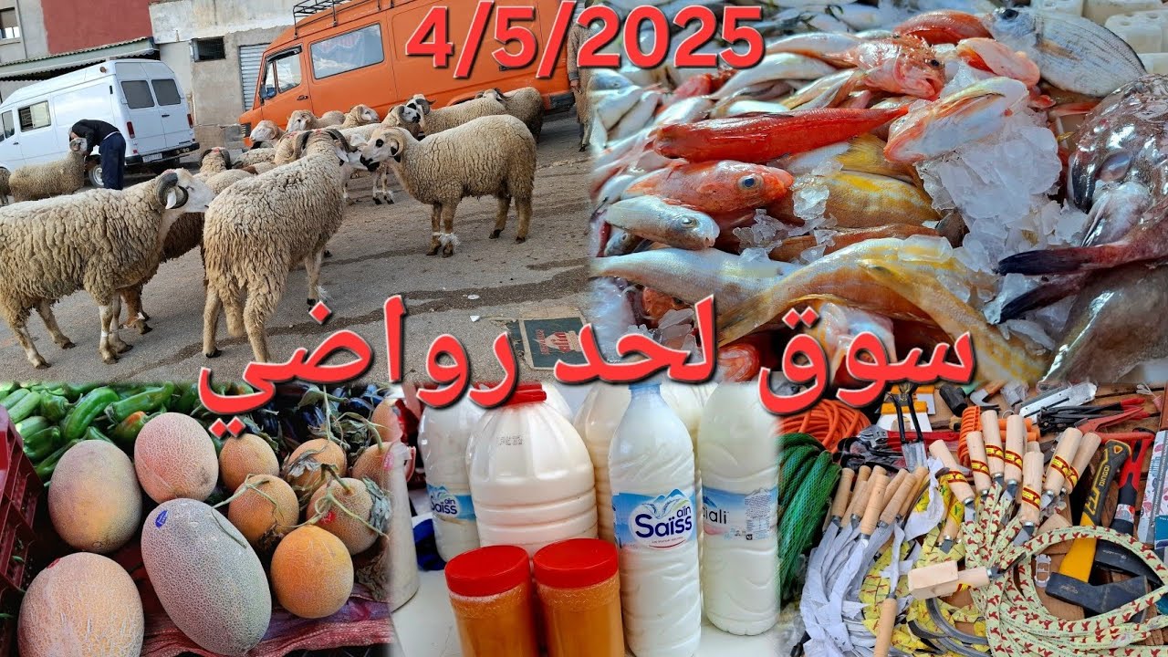 جولة في سوق الأسبوعي لحد رواضي.🍅🐏🐓 4/5/2025 Rouadi