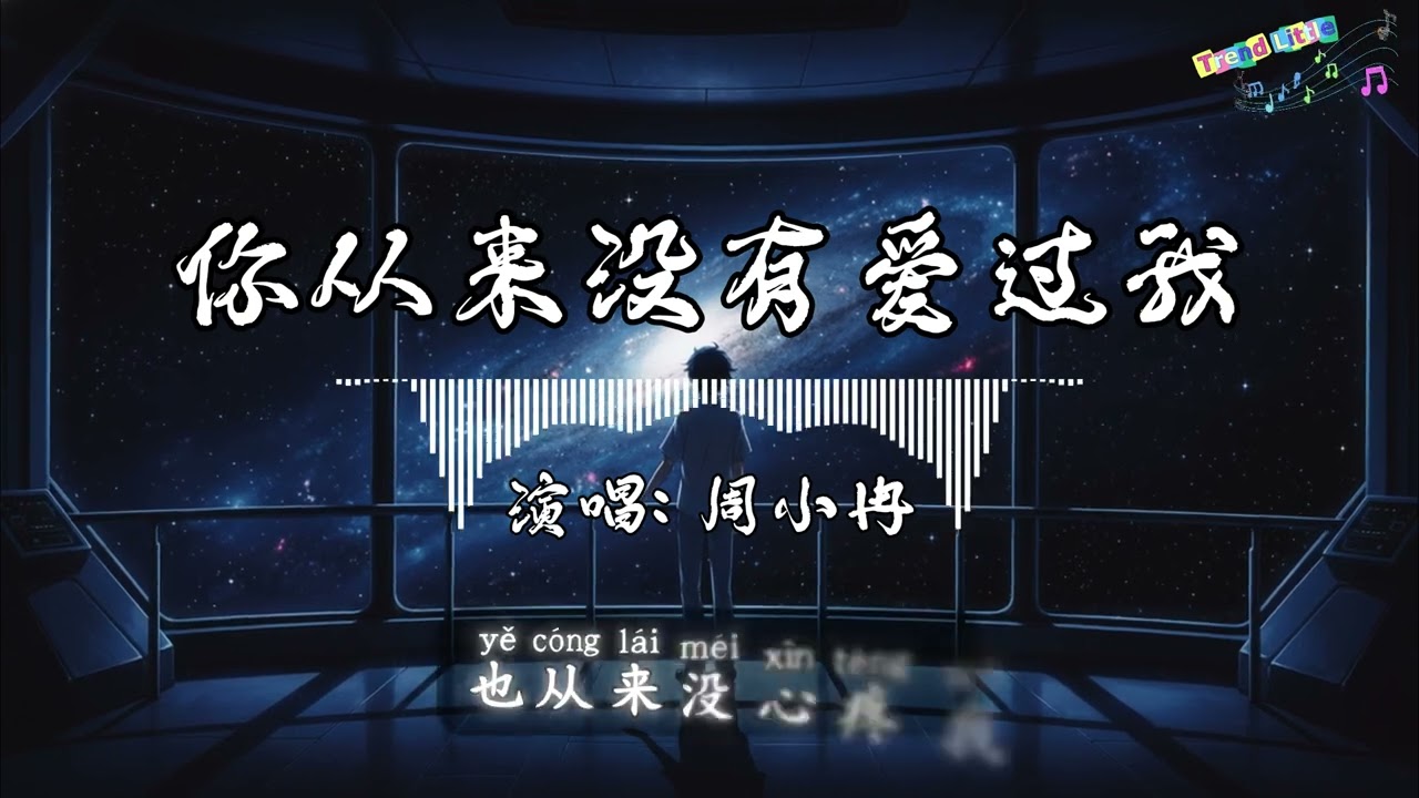 周小冉 - 你从来没有爱过我 (抖音伤感氛围音乐)『只剩街边的路灯 在配着我飘啊飘，住在回忆中的人 想忘也忘不掉，离开以后的思念 你看也看不到。』Hot TikTok｜抖音最火🎧