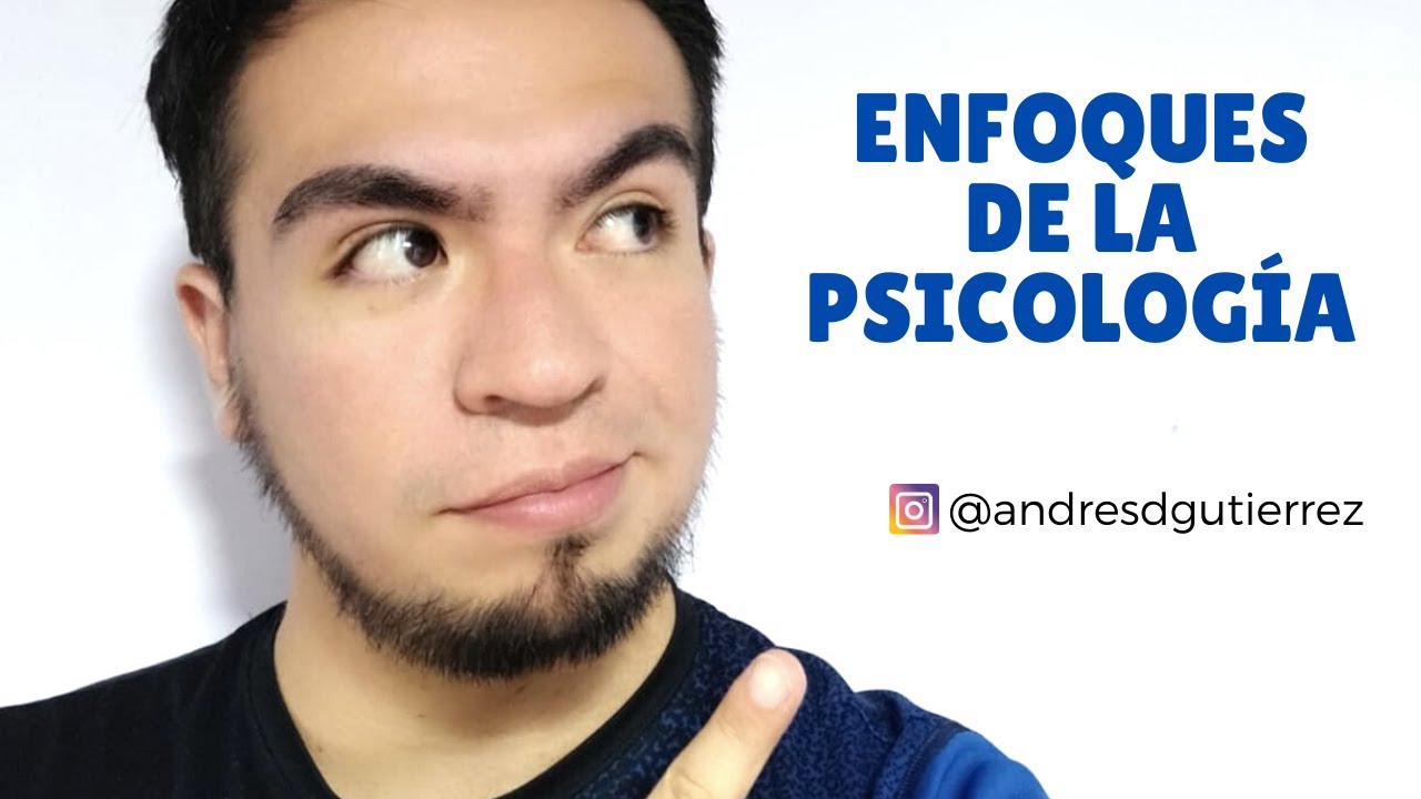 ¿Cómo explican los psicólogos el comportamiento? ¡Conoce los enfoques!