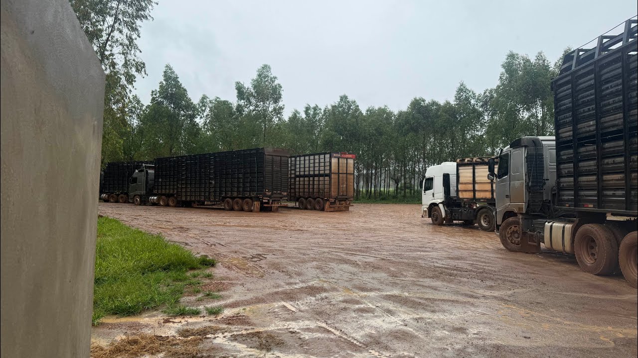 CARREGAMENTO FOI NA CHUVA/ CONF. ABACAXI QUEBRADO. 