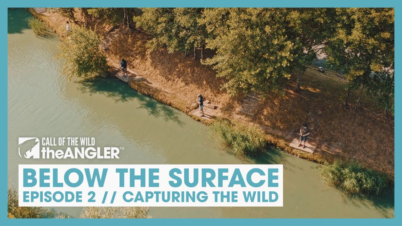 Below the Surface | Episode 2 | Capturing the Wild