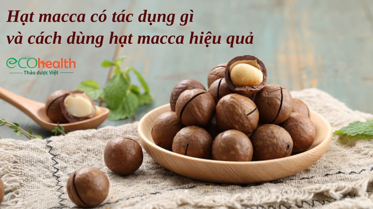 Hạt macca c&oacute; t&aacute;c dụng g&igrave; v&agrave; c&aacute;ch d&ugrave;ng hạt macca hiệu quả