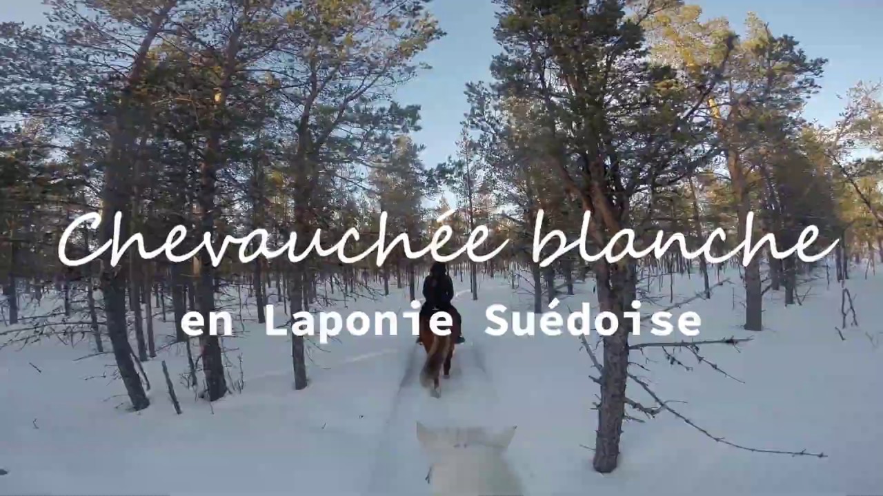 Chevauchée blanche en Laponie Suédoise