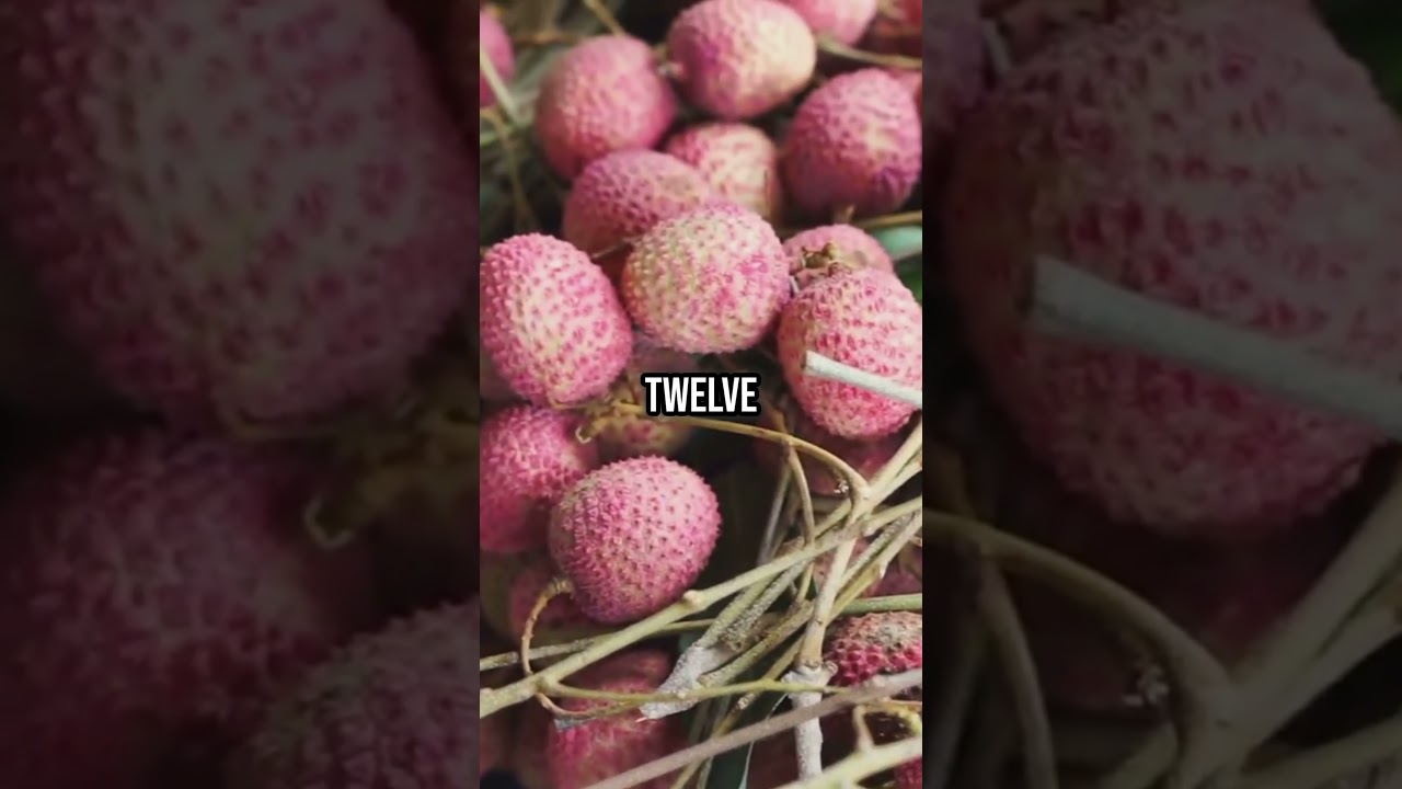 Lychee’s Royal Secrets: Health Benefits Fit for Emperors!