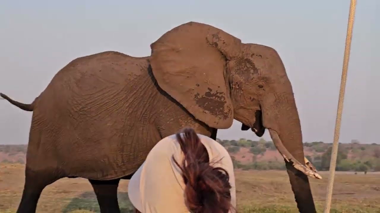 2023 Safari Chobe Botswana