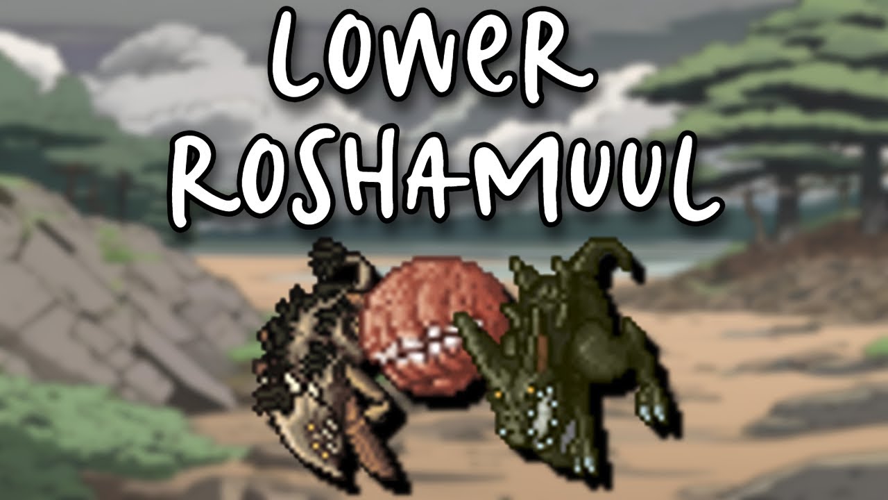 TIBIA | RP LEVEL 302 LOWER ROSHAMUUL | 3.9KK XP/HR 350K PROFIT