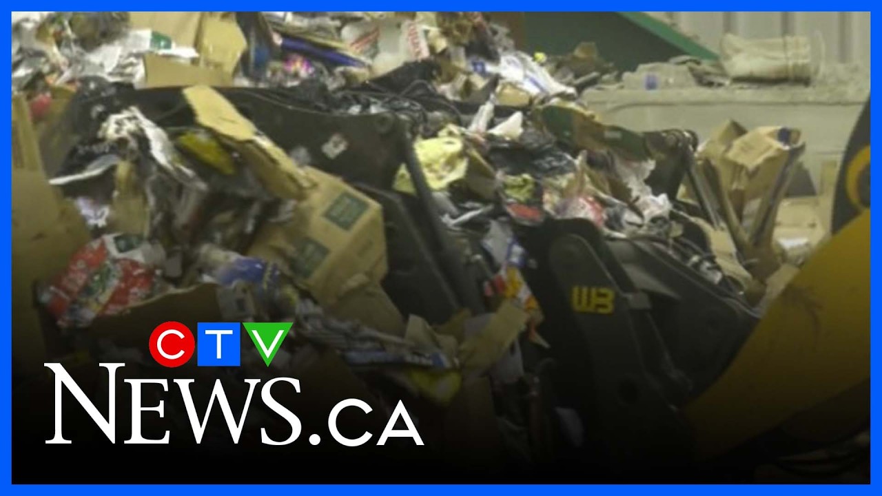 Regina urging residents to reduce blue recycle bin contamination