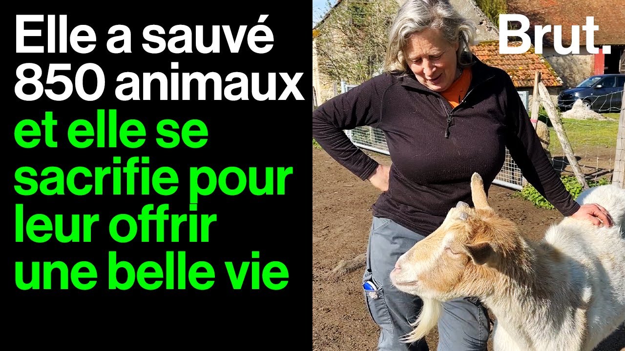 Le sanctuaire des Douages, un havre de paix pour les animaux de la ferme