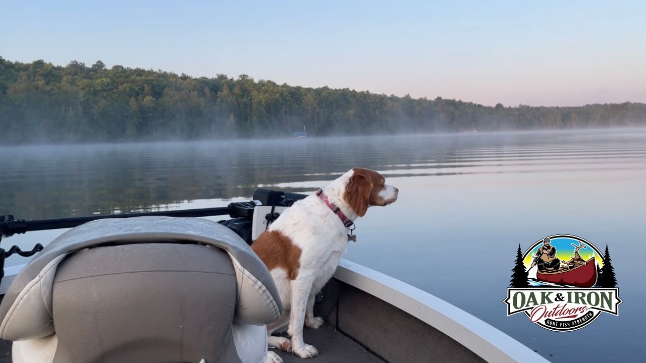 Tips for Buying a Used Boat & How to Avoid a Lemon